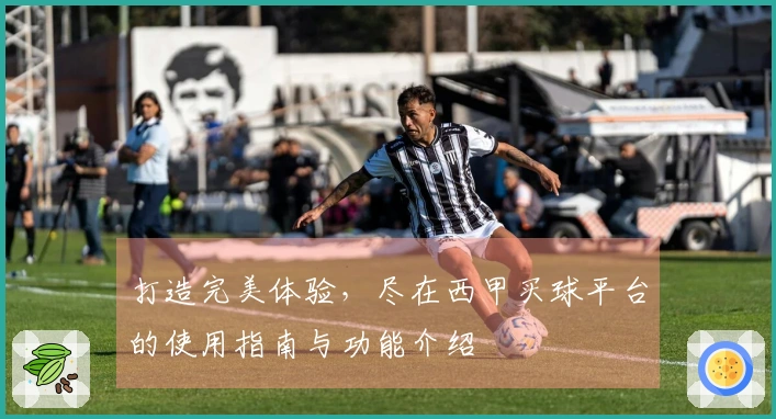 打造完美体验，尽在西甲买球平台的使用指南与功能介绍