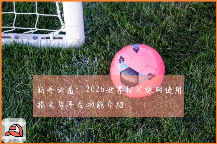 新手必看：2026世界杯买球网使用指南与平台功能介绍