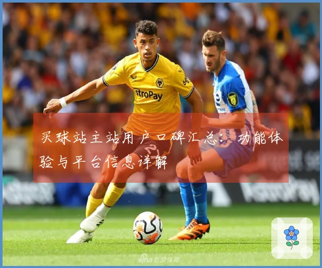 买球站主站用户口碑汇总：功能体验与平台信息详解