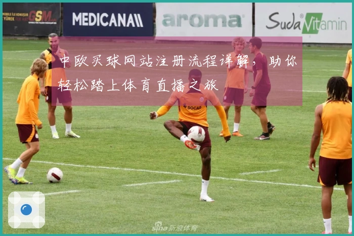 中欧买球网站注册流程详解，助你轻松踏上体育直播之旅