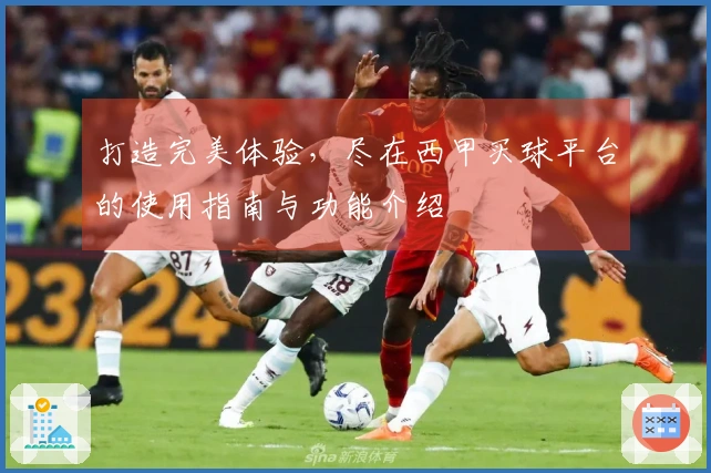 打造完美体验，尽在西甲买球平台的使用指南与功能介绍