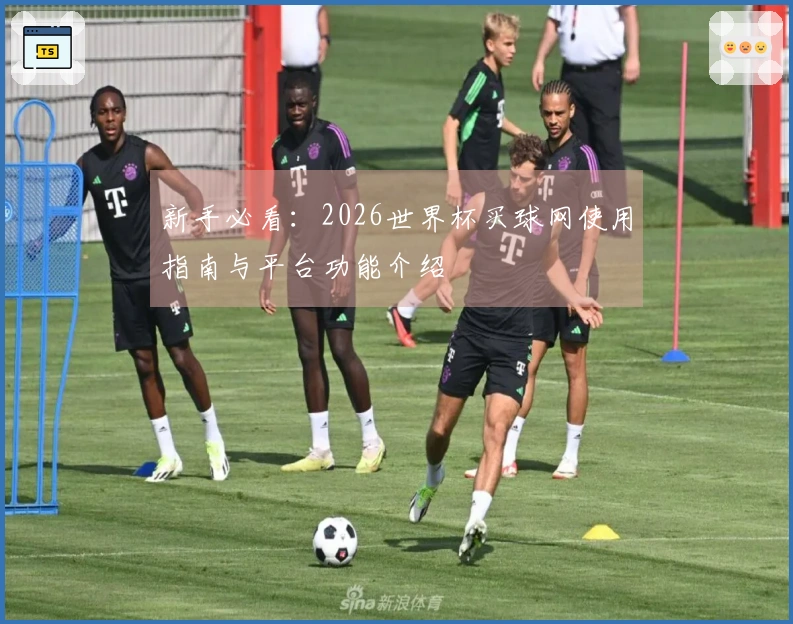 新手必看：2026世界杯买球网使用指南与平台功能介绍