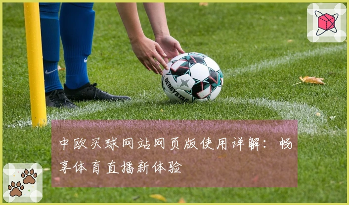 中欧买球网站网页版使用详解：畅享体育直播新体验