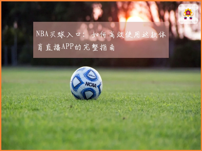 NBA买球入口：如何高效使用这款体育直播APP的完整指南